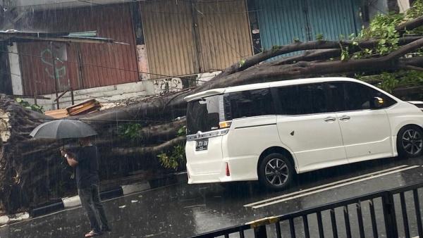 Screenshot 20210412 054940 Instagram