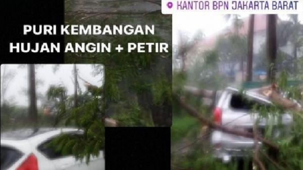 Pohon Tumbang Di Bpn Kembangan Instagram Pohon tumbang di BPN Kembangan, Jakarta Barat, Rabu (14/4/2021). (Foto: Instagram).