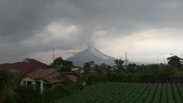 Gunung Sinabung Kembali Luncurkan Guguran Awan Panas Sejauh 2.000 Meter
