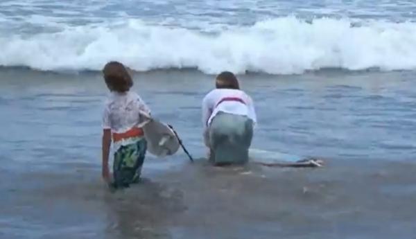 Surfer Kebaya 2 Puluhan peselancar perempuan berselancar memakai kebaya di Pantai Kuta, Bali. (Foto: Bagus Alit)