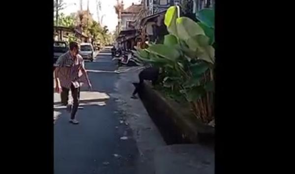 Tangkapan layar video viral kakek di Gianyar, Bali hendak melempar batu menolak divaksin. (Foto: iNews/Ketut Catur)