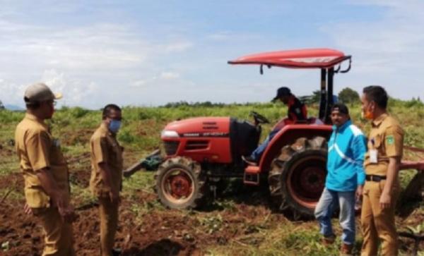 Terendam Banjir, 400 Hektare Padi di Tanah Bumbu Terancam Gagal Panen