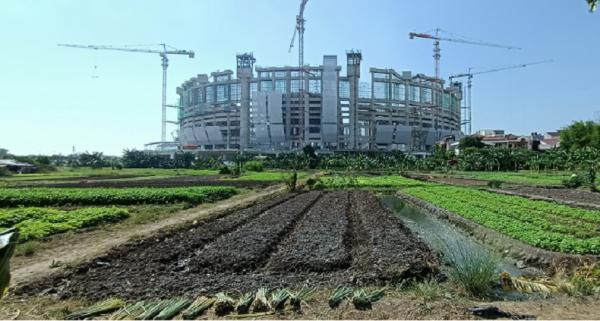 Penampakan lahan pertanian di Jakarta (Foto: Yohannes)