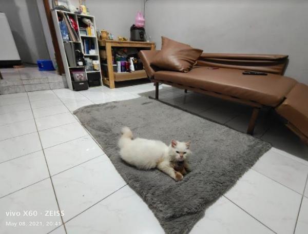 Menggunakan Wide Angel