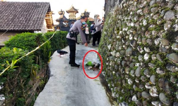 Penemuan mayat bayi tanpa tangan di Buleleng, Kamis (3/6/2021). (Foto: Polres Buleleng)