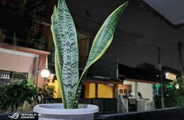 Hasil kamera belakang di malam hari