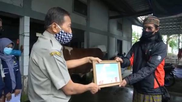 Serah teripa sapi kurban Presiden Jokowi ke Panitia Kurban DKM Pusdai Jabar. (Foto: iNews/Yuwono Wahyu)