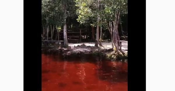 Misteri Sungai Merah di Kalimantan, Warga yang Mandi di Sini Bisa Miliki Kulit Putih