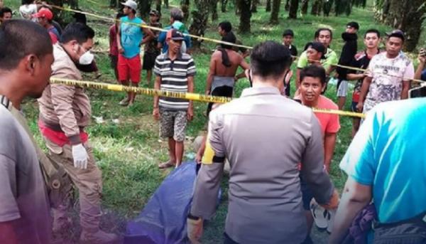 Olah TKP penemuan tiga mayat korban pembunuhan berantai di kebun sawit. (Foto: Polres Sintang)