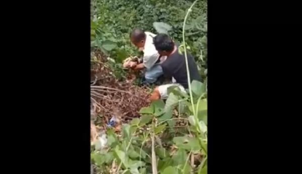 Rekaman video warga saat mengevakuasi bayi dibuang di tumpukan sampah Desa Aek Tarum, Asahan, Sumatera Utara.