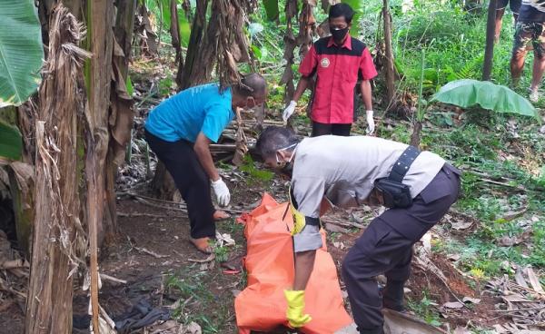 Warga Cisauk Geger Penemuan Mayat di Kebun Pisang, Ciri-cirinya Berambut Cepak