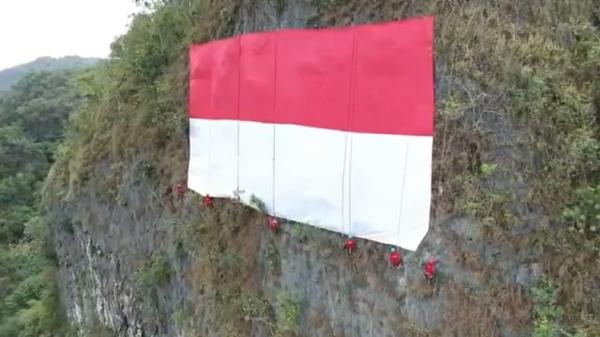 Bendera Merah Putih Raksasa Berkibar di Tebing Kars Maros Setinggi 80 Meter
