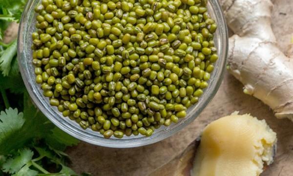 Contoh Laporan Hasil Observasi tentang Kacang Hijau