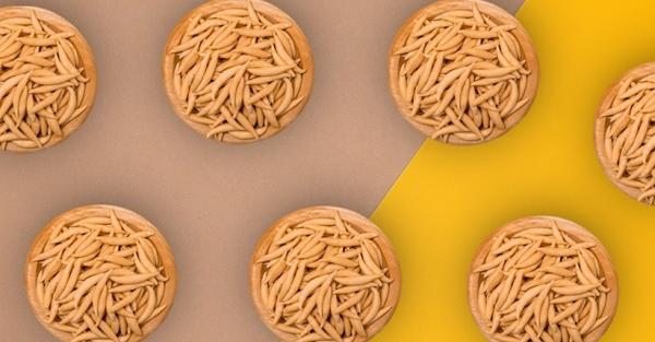 Mengenal Telur Gabus Legendaris Berawal dari Ekspresi Cinta sang Oma