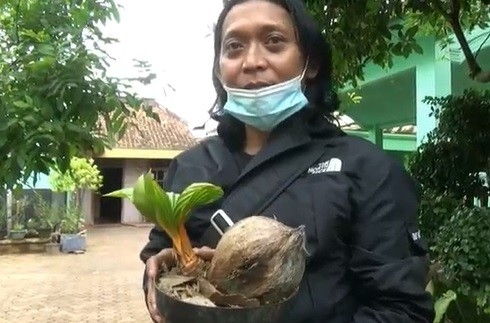 Pecinta tanaman hias membeli bonsai kelapa hasil budi daya M Khanafi warga Tuban. (Foto: MNC Portal/Pipiet Wibawanto)
