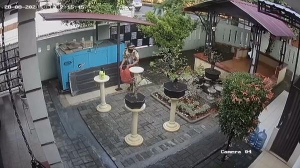 Pencuri tanaman di Medan memasukkan Aglonema senilai Rp60 juta ke dalam plastik kresek (Ahmad Ridwan Nasution/MNC Portal)