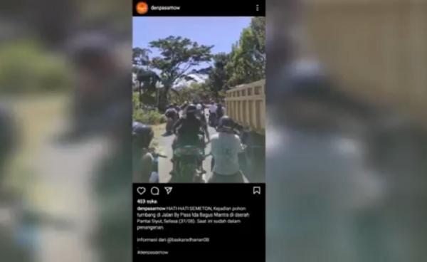Informasi pohon tumbang di Jalan Bypass Ida Bagus Mantra di media sosial.