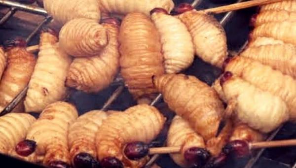 Sate ulat sagu (Foto: Instagram/tempatwisataunik)