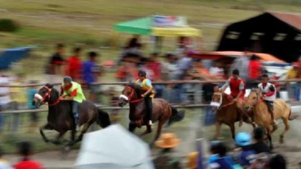 Atraksi pacuan kuda ala koboi yang banyak digemari masyarakat di Atambua. (foto: Antara)