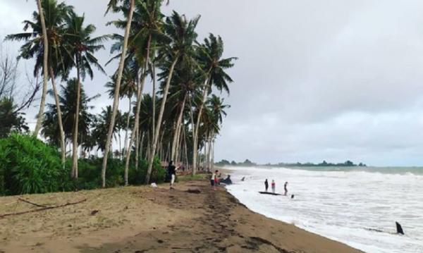 Pantai Suak Ribee Pantai Suak Ribee (Foto: Instagram @zulkiram3011)
