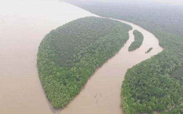 Pulau ekor tikus Pulau ekor tikus (Foto: dok Mc Kabupaten Banyuasin)