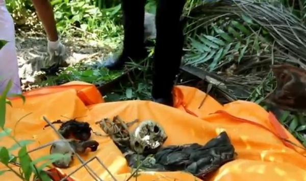 Penemuan kerangka manusia di Bireuen, Aceh, Senin (6/9/2021). (Foto: iNews/Musriadi)