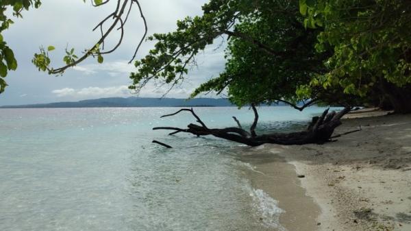 Destinasi wisata Pantai Liang atau Pantai Hunimua berada di Desa Liang, Kecamatan Salahutu, Kepulauan Aru. (Foto: Twitter)