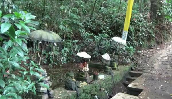 Sumber Kaputren, salah satu mata air di kawasan Rowo Batu yang kerap dijadikan tempat ritual. (Foto: iNews.id/Eris Utomo).