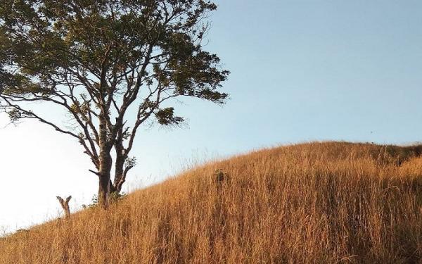 Bukit Patrabulu Bukit Patrabulu (Foto: Instagram/@sukaaasuka)