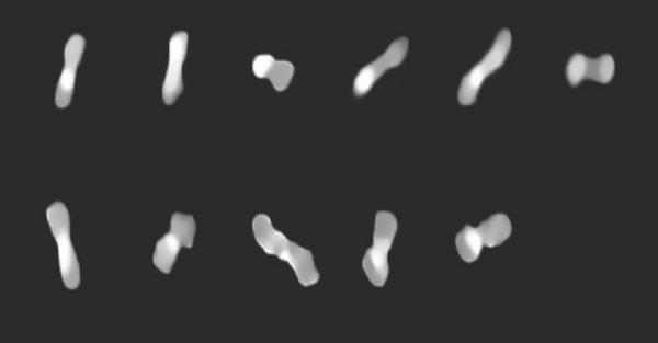 Strange Asteroid Shaped Bones Circling the Sun