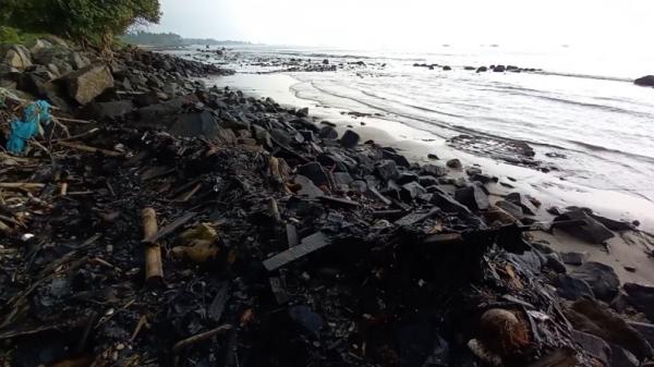 Laut Teluk Lampung tercemar cairan hitam pekat, diduga tumpahan minyak aspal curah (Andres Afandi/MNC Portal)