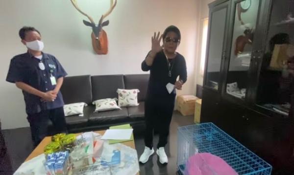 Sempat Dikritik Sherina dan Manohara, Bupati Badung Serahkan Owa Siamang ke BKSDA Bali