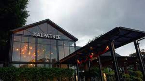 KALPATREE Kalpatree dine and chill di kawasan Ciumbuleuit, Kota Bandung. (Foto: istimewa)