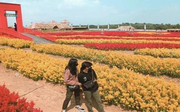 Ya Sama Cindo Kampung Wisata ya Saman Cindo menyuguhkan hamparan bunga yang menyejukkan mata. (Foto: Instagram/@yasaman_cindo)