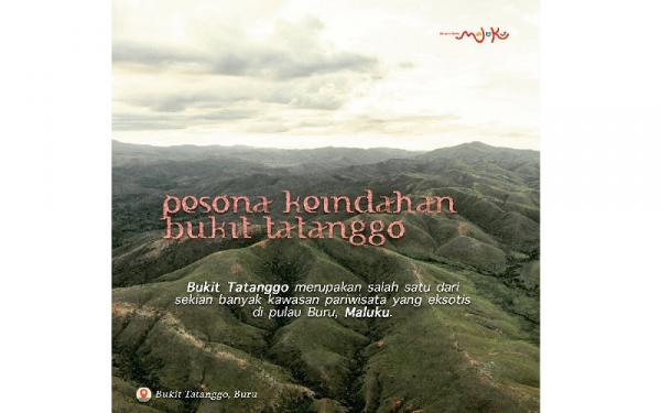 Bukit Tatanggo Bukit Tatanggo (Foto: Instagram/@exoticmalukutourism)