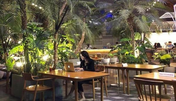 Air Terjun Riam Merasap (Foto: InstagramNuansa hijau menjadi ciri khas kafe ini sehingga pengunjung Jardin Cafe akan dimanjakan dengan suasana asri. (Foto: Instagram/@jardinbdg) @conqueryourlifestyle)