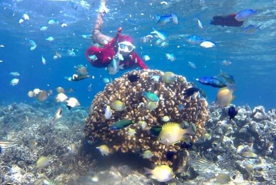 Pulau Samolana. (Foto: Instagram)