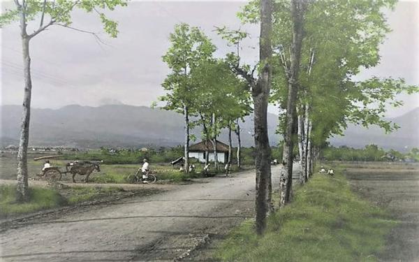 JALAN RAYA POS Jalan Raya Pos atau Groote Postweg di Bandung pada 1917. (Foto: Istimewa)