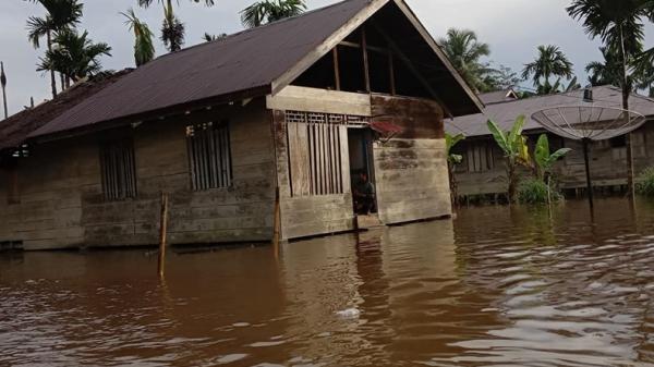 Banjir Siberut-2 Banjir di Desa Monganpoula, Siberut, Kepulauan Mentawai, Sumbar (Istimewa)