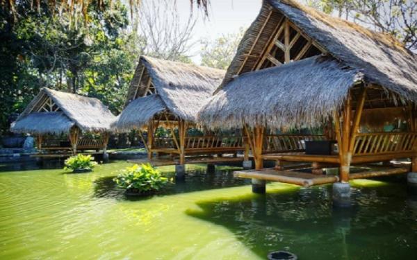 Samani Resto Adi Bramantyo Samani Resto Bali. (Foto: Instagram @adi_bramantyo)