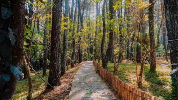 Tahura Djuanda, Bandung. (Foto: Instagram/tahuradjuanda.official)