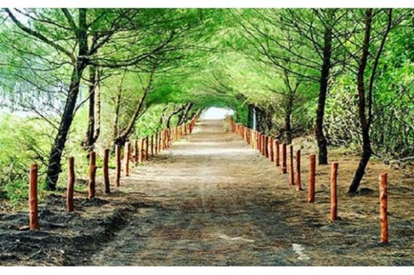 Jalan masuk ke Pantai Goa Cemara. (Foto: Inst Pantai_Goacemara)