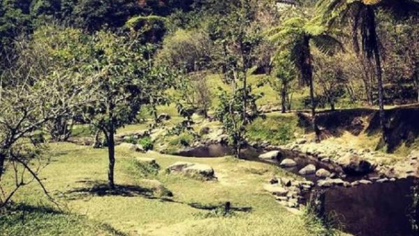 Taman Sakura Taman Sakura. (Foto: Instagram/galuhtati)