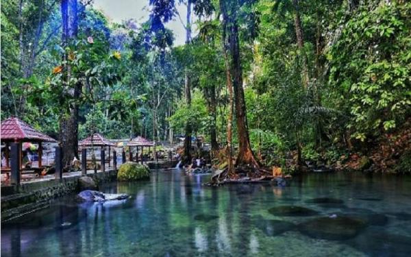 Tempat Wisata di Lombok Barat, Hutan Lindung Sesaot (Foto: dok Dispar Lobar)