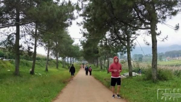 TREK JOGING HUTAN PINUS ARJASARI Trek joging di kawasan hutan pinus Arjasari, Bandung. (FOTO: Istimewa/Amar Faizal Haidar)