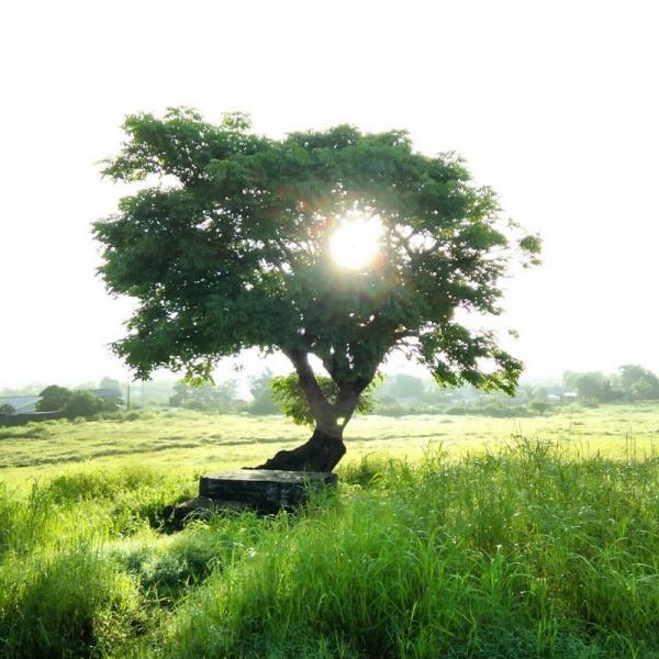 Bukit Cinta Kupang NTT Tempat Wisata di Kota Kupang NTT, Bukit Cinta. (Foto: Instagram robertusarian)