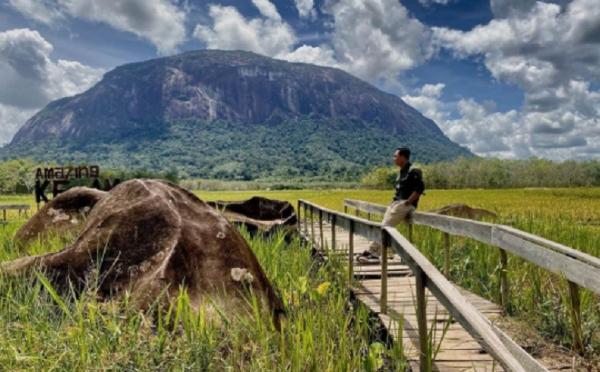 5 Tempat Wisata Di Sintang Kalimantan Barat Paling Populer