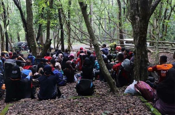 Hutan Wanagama menjadi salah satu tempat camping di Jogja yang cocok unuk liburan bersama keluarga. (Foto: Facebook/Wanagama)