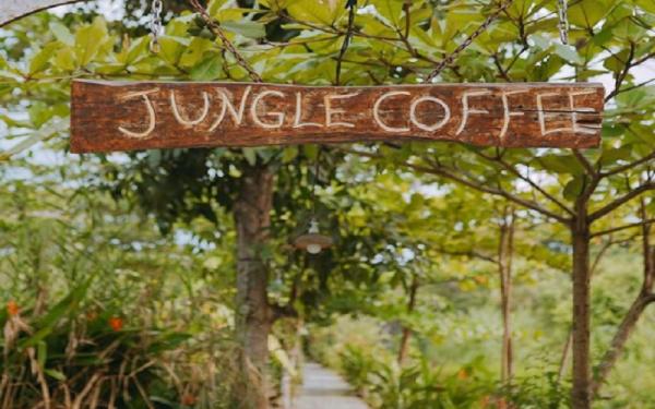 Tempat Nongkrong Jungle Coffee Bar Tempat Nongkrong Terdekat di Kalimantan Selatan, Jungle Coffee Bar (Foto: Instagram/Jungle Coffee Bar)