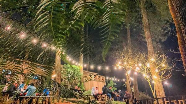 Kopi Sarasa, tempat ngopi ini menyuguhkan suasana alam pegunungan dan hutan pinus yang sejuk. (Foto: Instagram/kopisarasa)